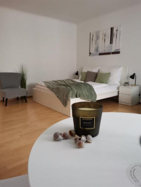 Central Alpha Apartment 7min to the city centar